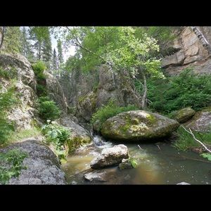 Meet your Posher, Sharon